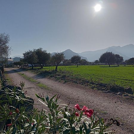 Agriturismo Sa Murta Dorgali Exteriör bild