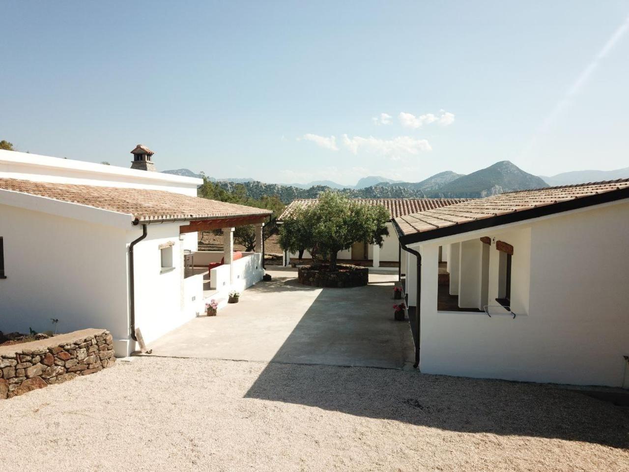Agriturismo Sa Murta Dorgali Exteriör bild
