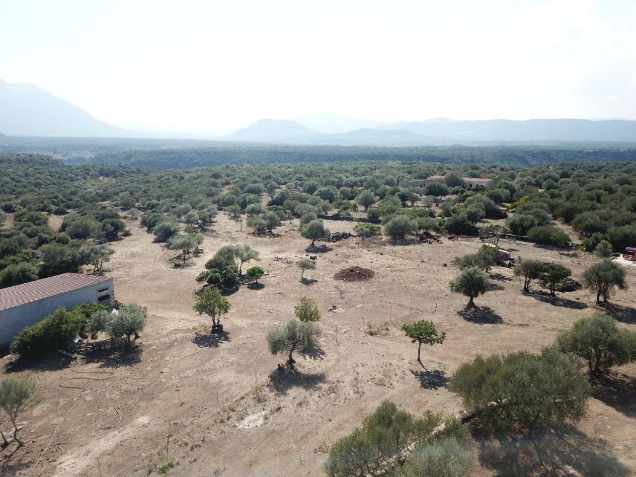 Agriturismo Sa Murta Dorgali Exteriör bild