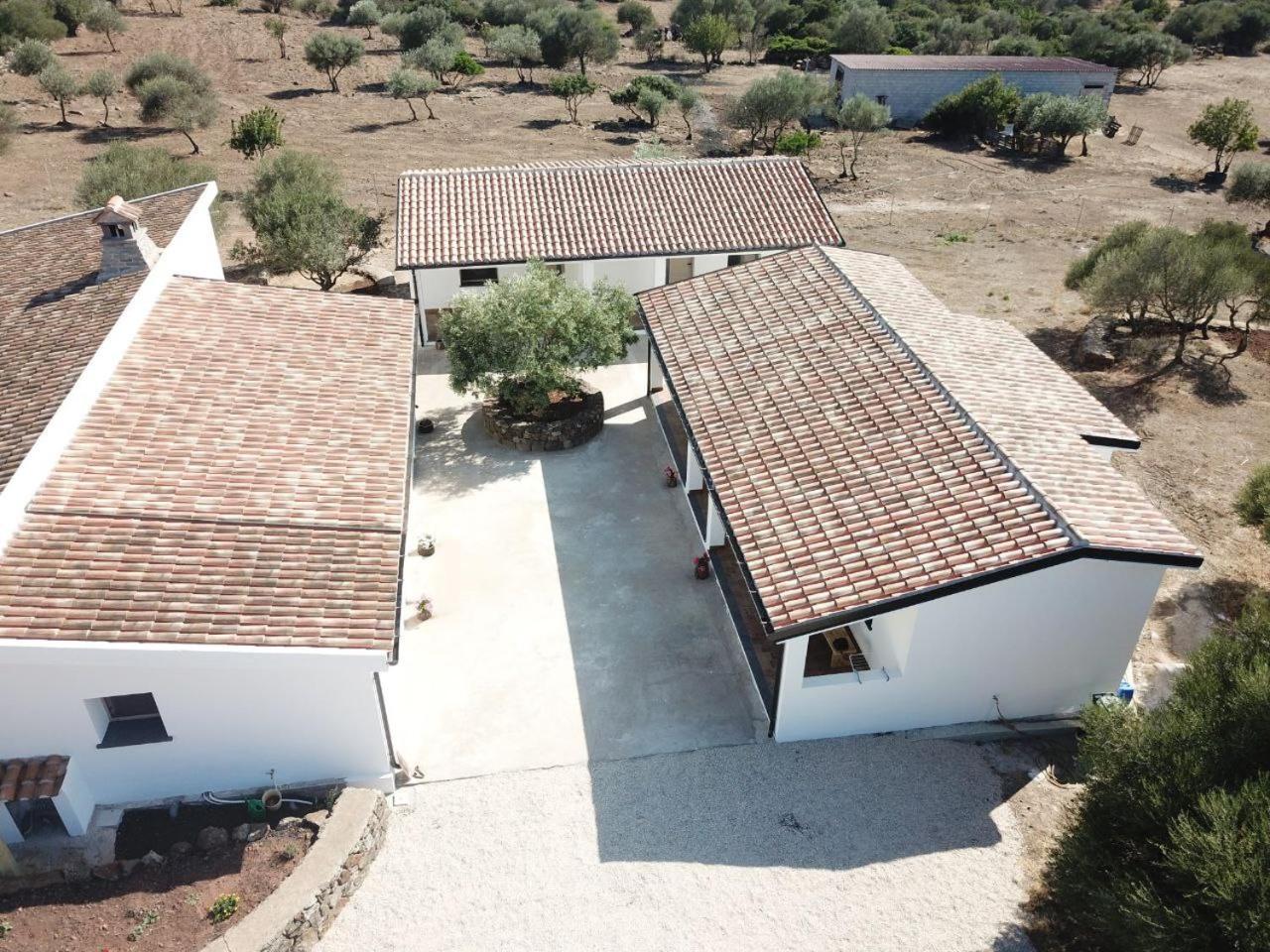 Agriturismo Sa Murta Dorgali Exteriör bild