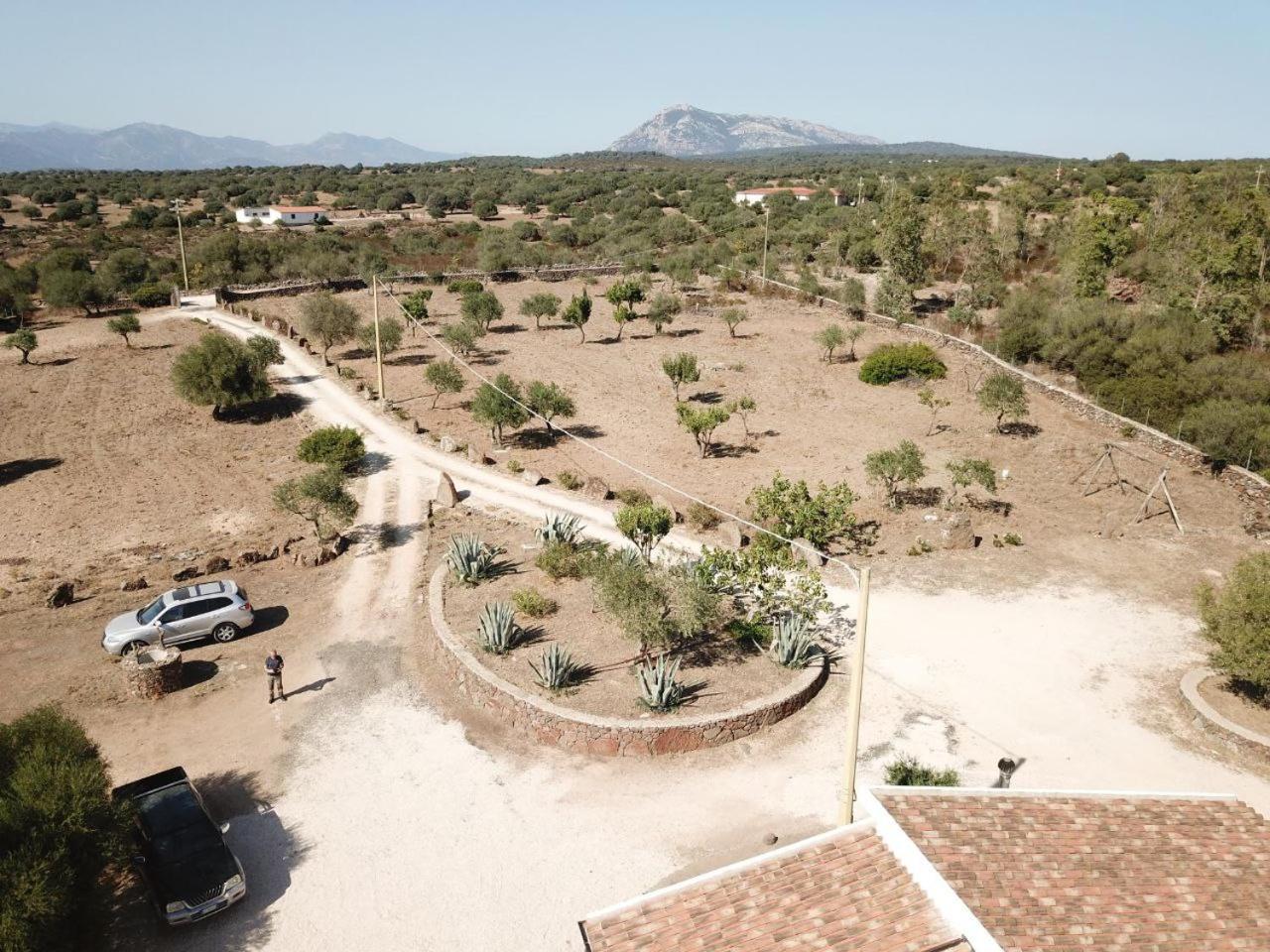 Agriturismo Sa Murta Dorgali Exteriör bild
