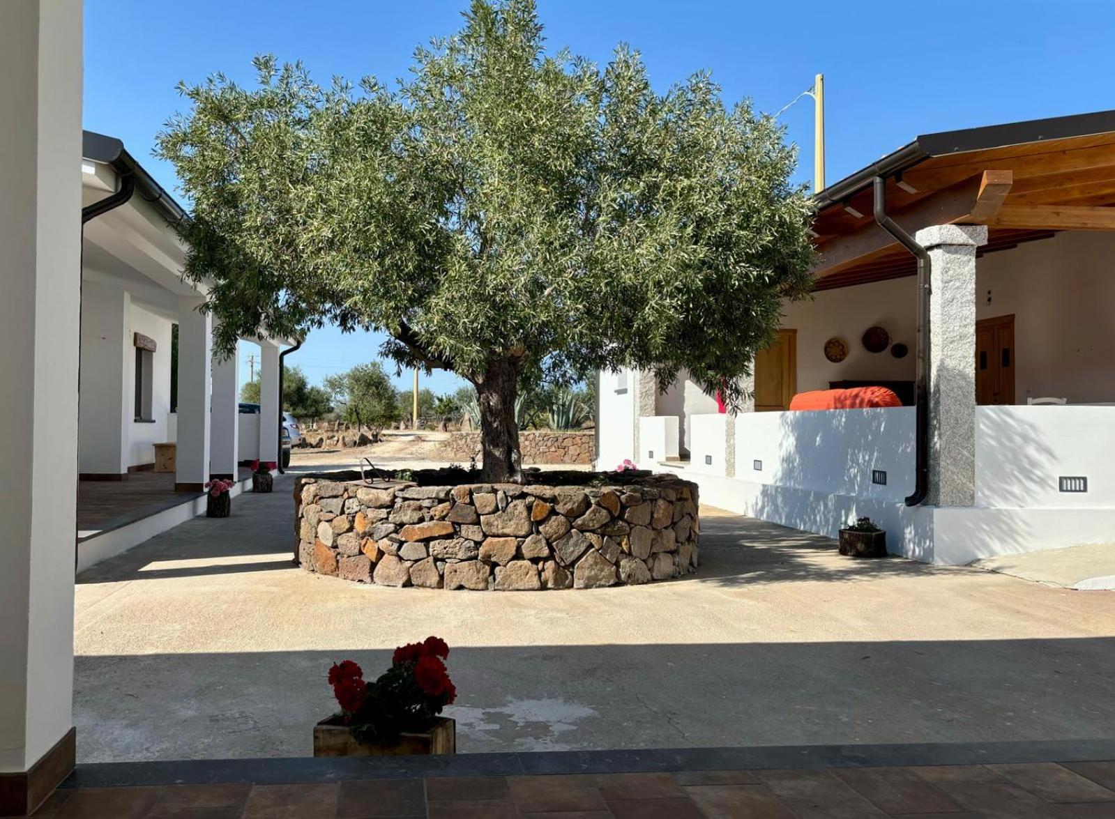 Agriturismo Sa Murta Dorgali Exteriör bild