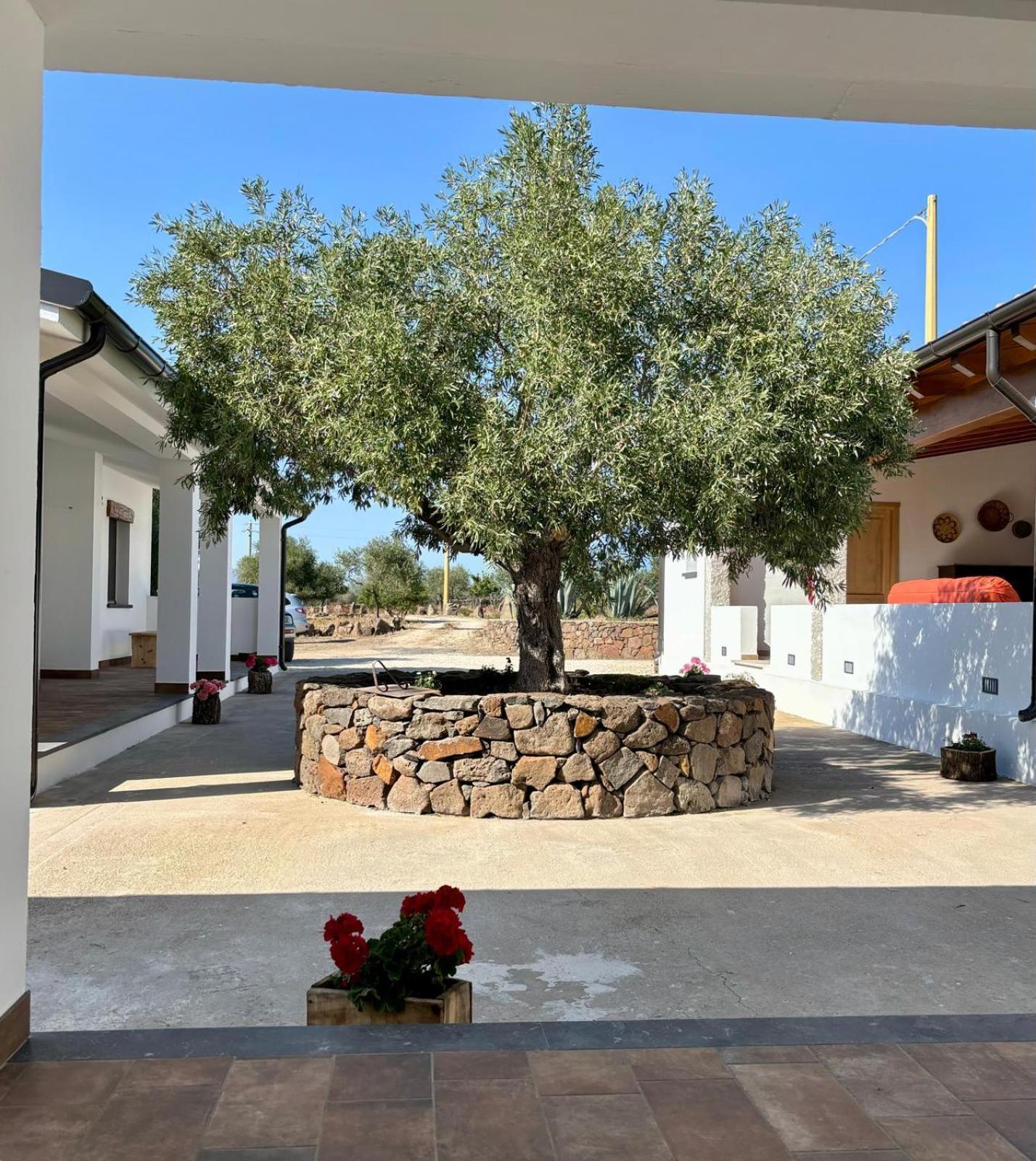 Agriturismo Sa Murta Dorgali Exteriör bild