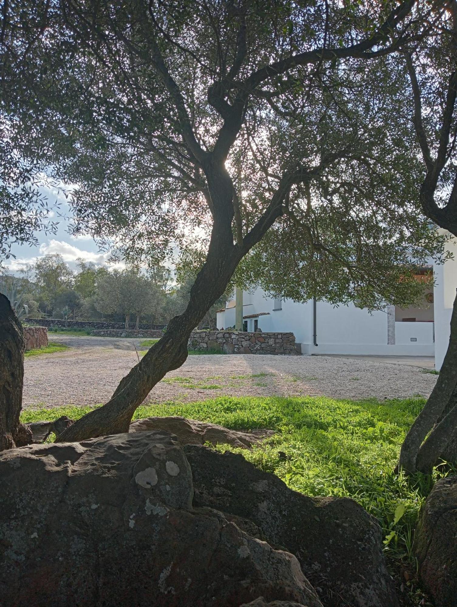 Agriturismo Sa Murta Dorgali Exteriör bild