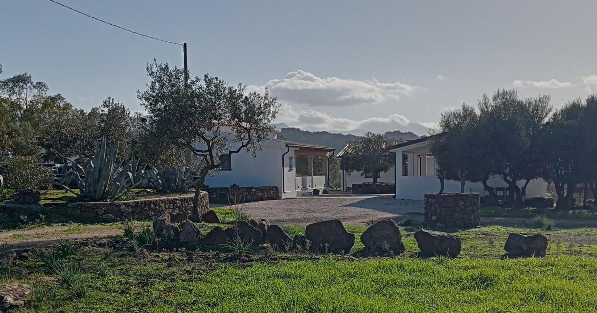Agriturismo Sa Murta Dorgali Exteriör bild