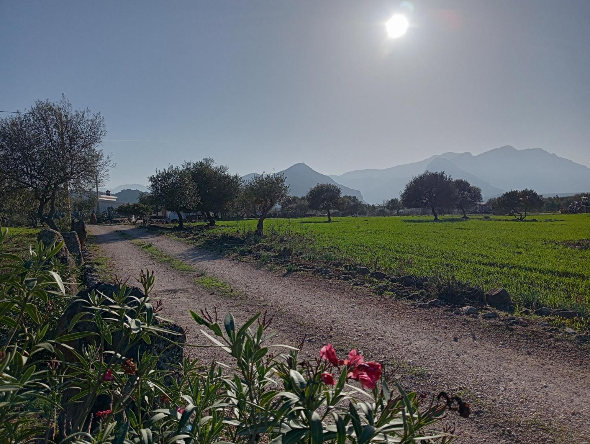 Agriturismo Sa Murta Dorgali Exteriör bild
