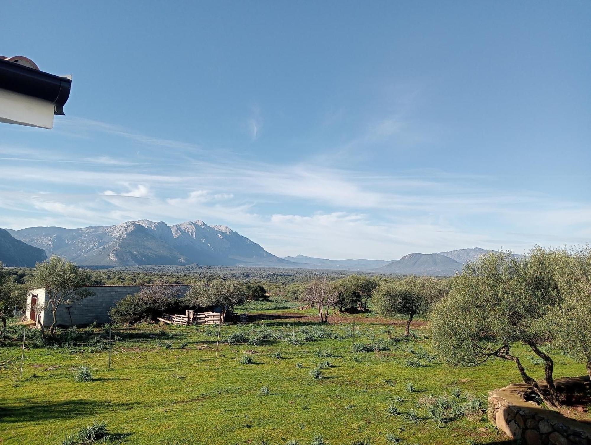 Agriturismo Sa Murta Dorgali Exteriör bild
