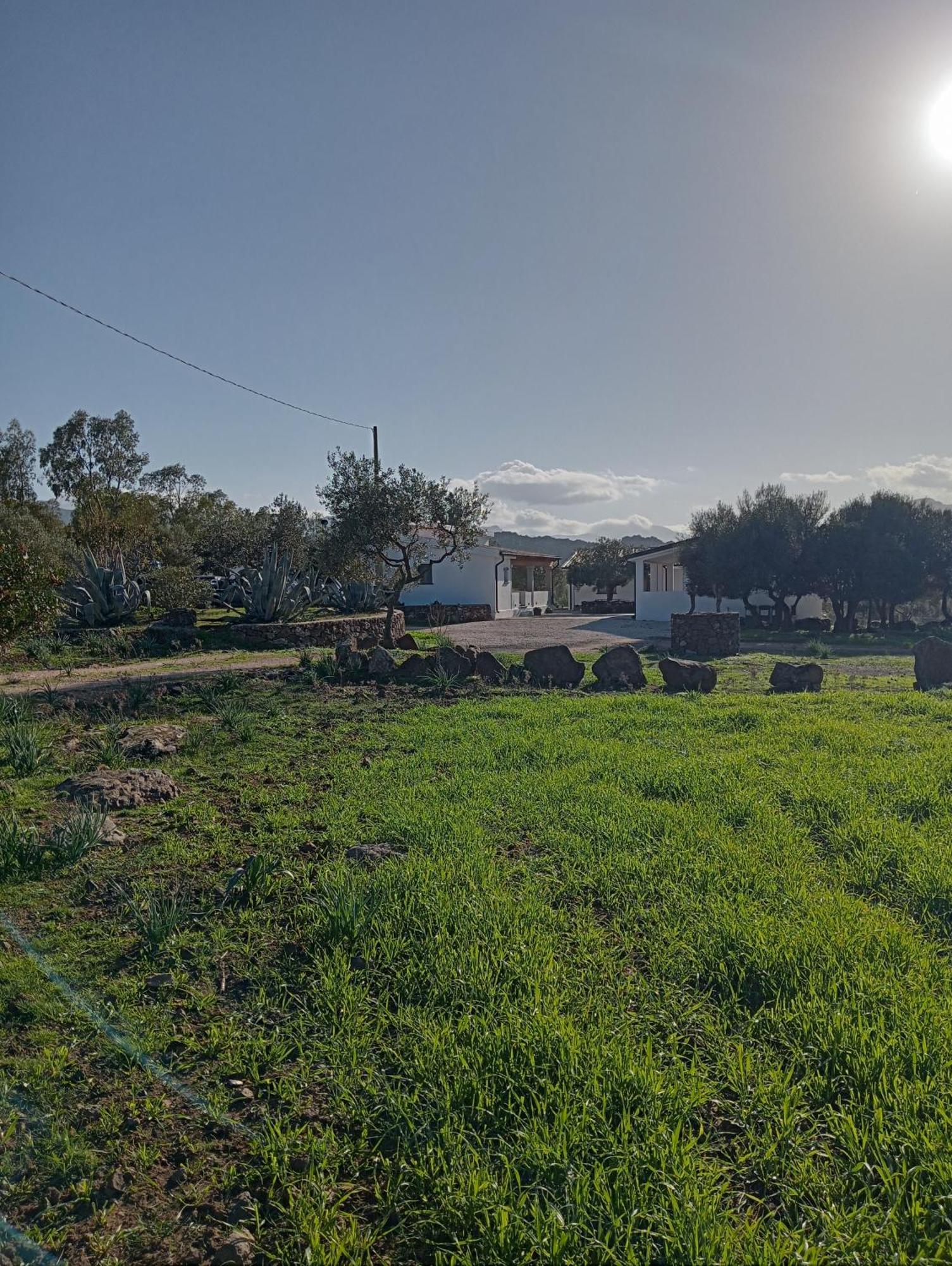 Agriturismo Sa Murta Dorgali Exteriör bild